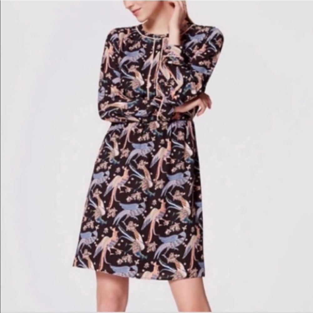 Loft peacock print dress
